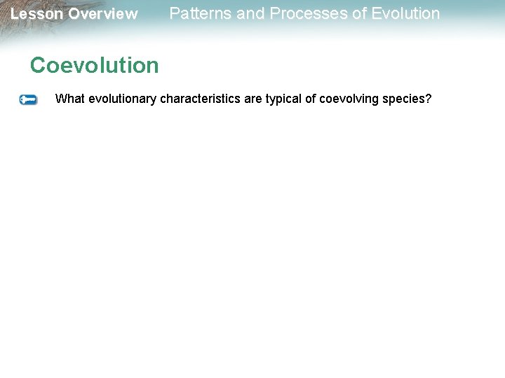 Lesson Overview Patterns and Processes of Evolution Coevolution What evolutionary characteristics are typical of
