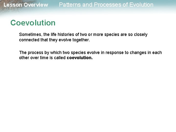 Lesson Overview Patterns and Processes of Evolution Coevolution Sometimes, the life histories of two