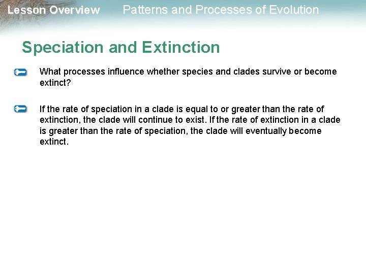 Lesson Overview Patterns and Processes of Evolution Speciation and Extinction What processes influence whether