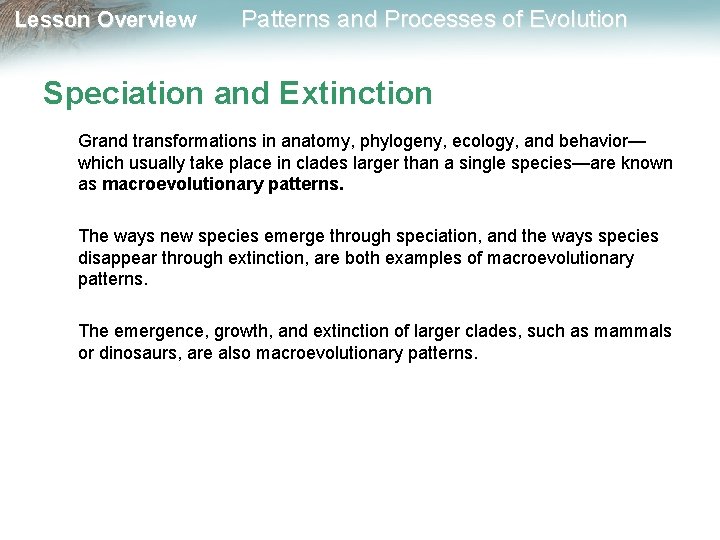 Lesson Overview Patterns and Processes of Evolution Speciation and Extinction Grand transformations in anatomy,