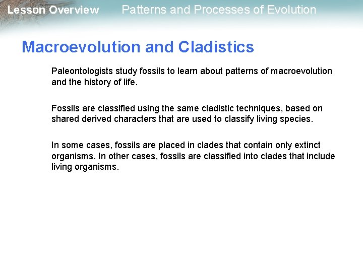 Lesson Overview Patterns and Processes of Evolution Macroevolution and Cladistics Paleontologists study fossils to