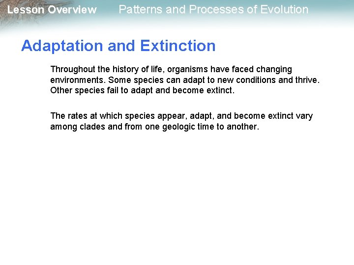 Lesson Overview Patterns and Processes of Evolution Adaptation and Extinction Throughout the history of