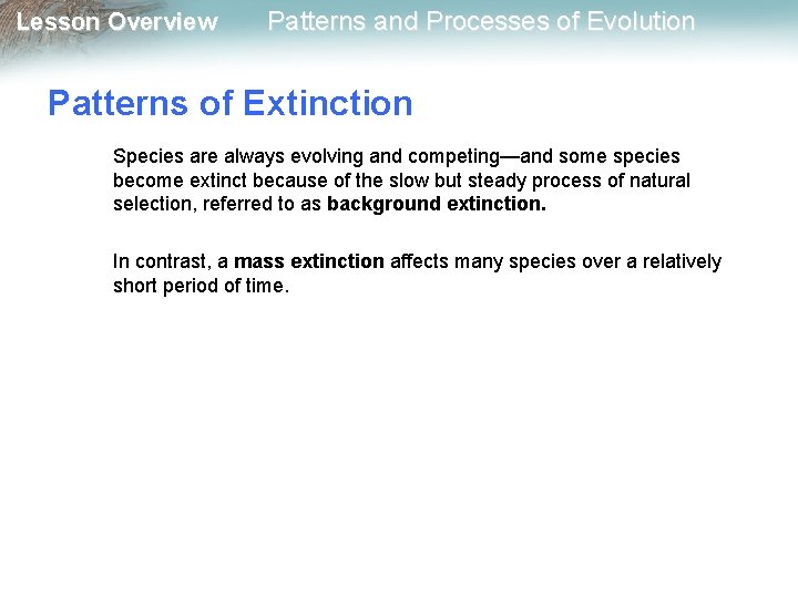 Lesson Overview Patterns and Processes of Evolution Patterns of Extinction Species are always evolving