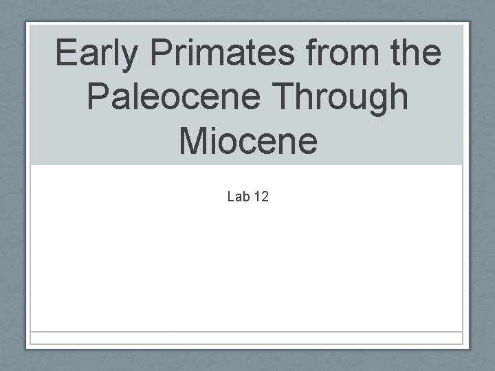 Early Primates from the Paleocene Through Miocene Lab 12 