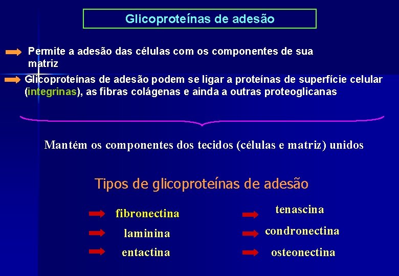 Glicoproteínas de adesão Permite a adesão das células com os componentes de sua matriz