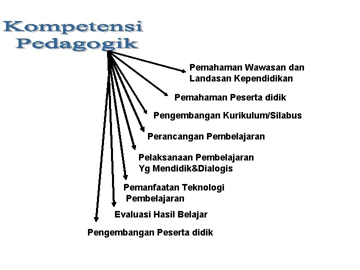 Pemahaman Wawasan dan Landasan Kependidikan Pemahaman Peserta didik Pengembangan Kurikulum/Silabus Perancangan Pembelajaran Pelaksanaan Pembelajaran