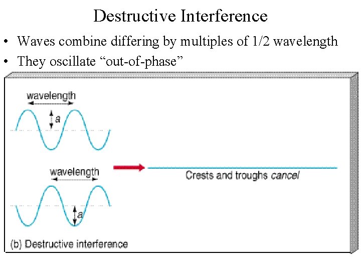 Destructive Interference • Waves combine differing by multiples of 1/2 wavelength • They oscillate