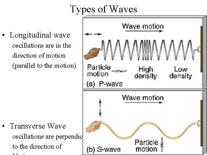 Types of Waves • Longitudinal wave oscillations are in the direction of motion (parallel