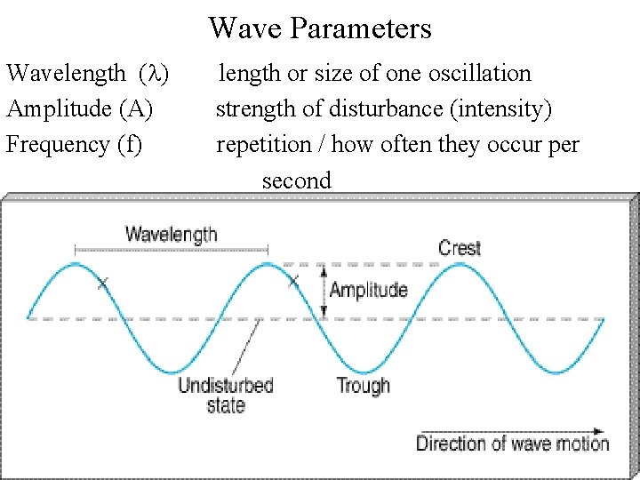 Wave Parameters Wavelength (l) Amplitude (A) Frequency (f) length or size of one oscillation