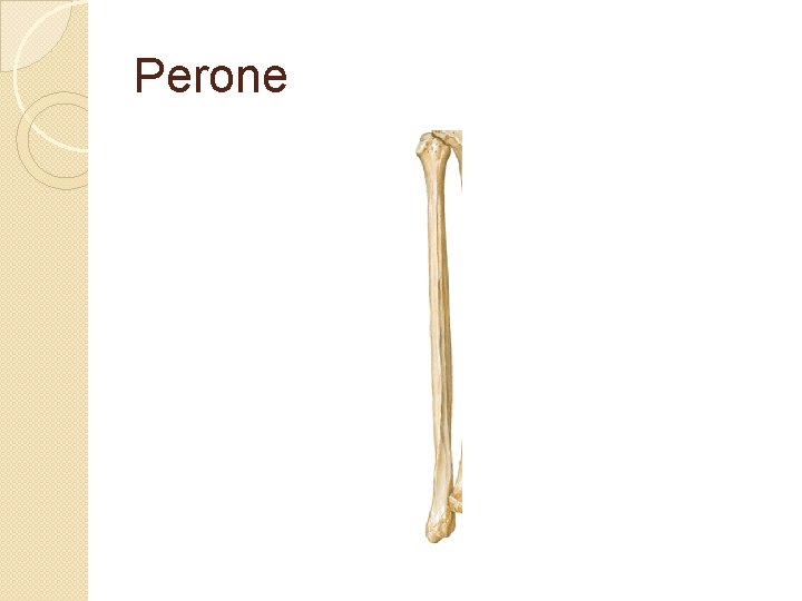 Perone 