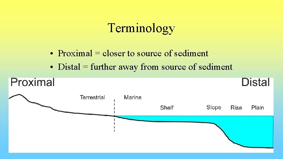 Terminology • Proximal = closer to source of sediment • Distal = further away