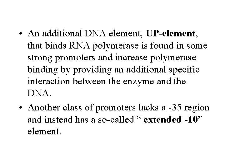  • An additional DNA element, UP-element, that binds RNA polymerase is found in
