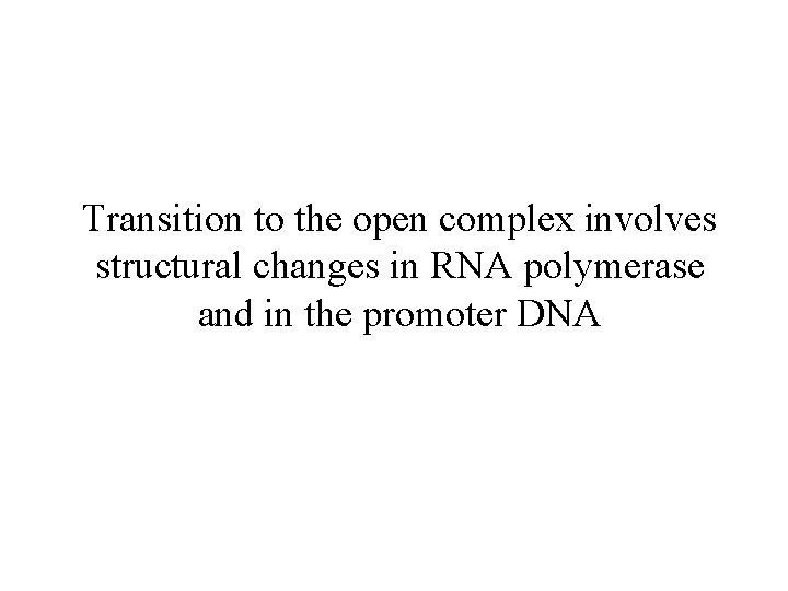 Transition to the open complex involves structural changes in RNA polymerase and in the
