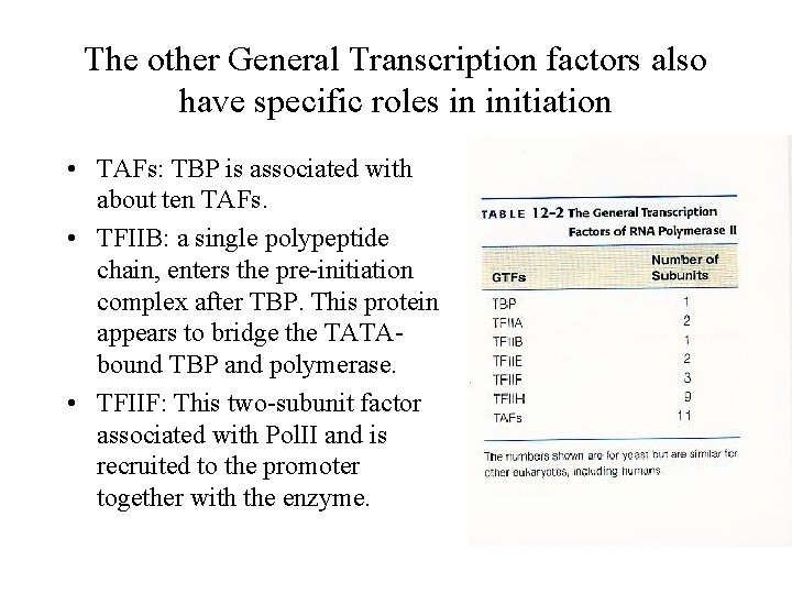 The other General Transcription factors also have specific roles in initiation • TAFs: TBP