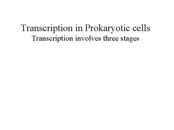 Transcription in Prokaryotic cells Transcription involves three stages 