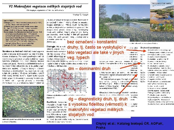 bez označení - konstantní druhy, tj. často se vyskytující v této vegetaci ale také