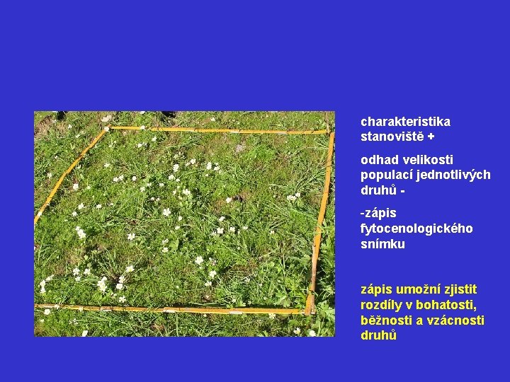 charakteristika stanoviště + odhad velikosti populací jednotlivých druhů - -zápis fytocenologického snímku zápis umožní