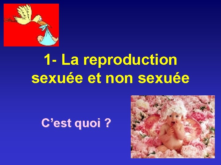 1 - La reproduction sexuée et non sexuée C’est quoi ? 1 - La reproduction sexuée et non sexuée C’est quoi ?