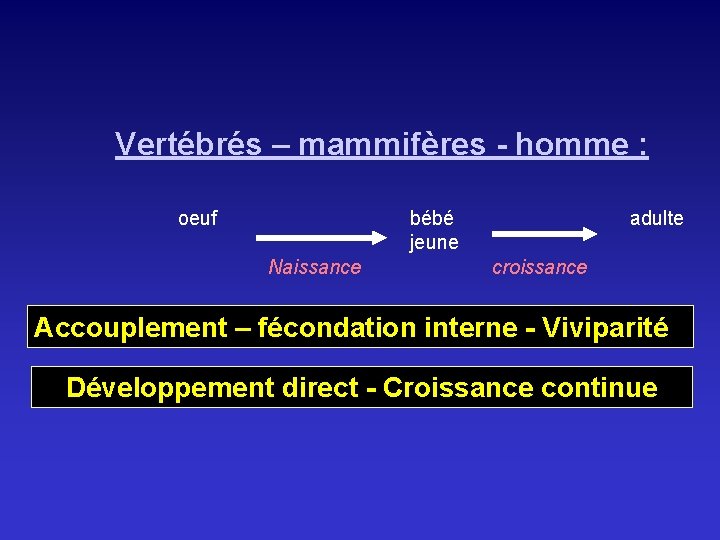 Vertébrés – mammifères - homme : oeuf bébé jeune Naissance adulte croissance Accouplement – Vertébrés – mammifères - homme : oeuf bébé jeune Naissance adulte croissance Accouplement –
