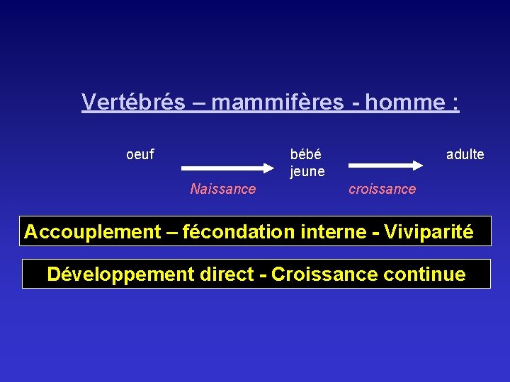 Vertébrés – mammifères - homme : oeuf bébé jeune Naissance adulte croissance Accouplement –