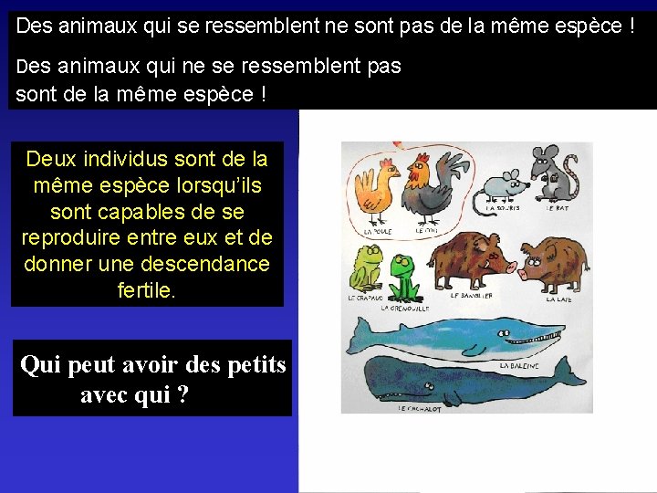 Des animaux qui se ressemblent ne sont pas de la même espèce ! Des Des animaux qui se ressemblent ne sont pas de la même espèce ! Des