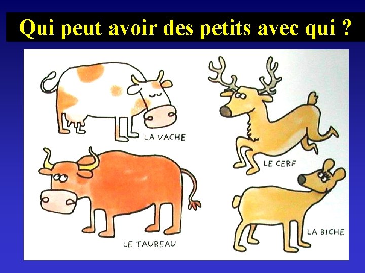 Qui peut avoir des petits avec qui ? Qui peut avoir des petits avec qui ?