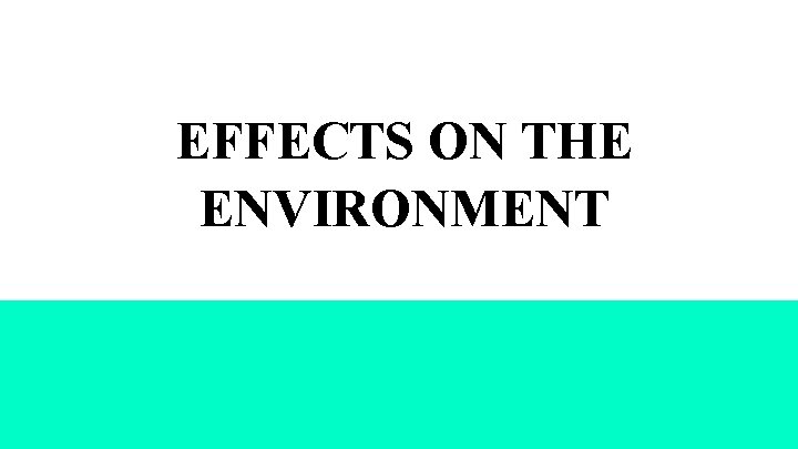 EFFECTS ON THE ENVIRONMENT 