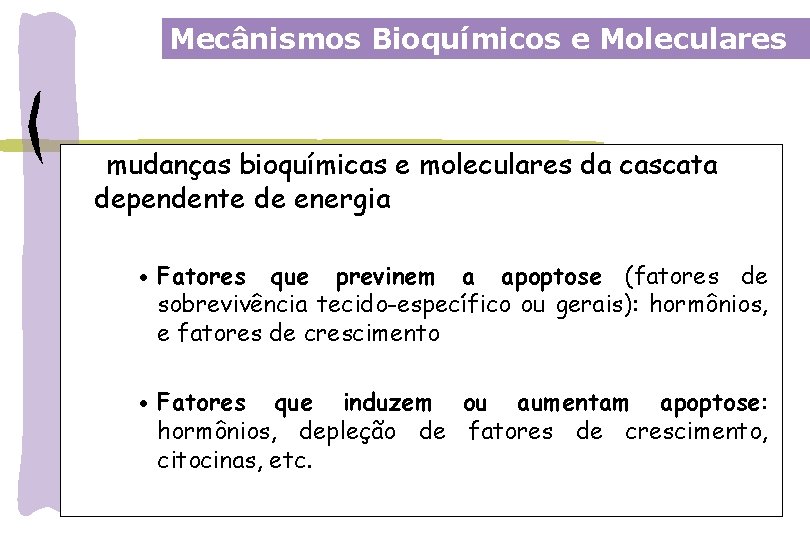 Mecânismos Bioquímicos e Moleculares mudanças bioquímicas e moleculares da cascata dependente de energia ·