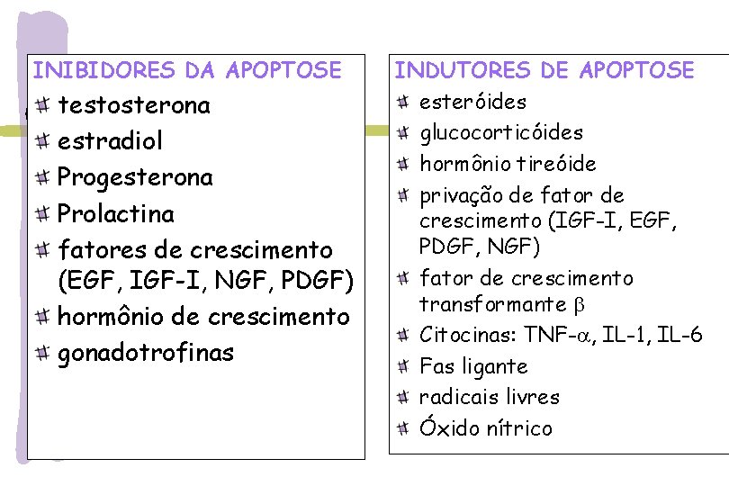 INIBIDORES DA APOPTOSE testosterona estradiol Progesterona Prolactina fatores de crescimento (EGF, IGF-I, NGF, PDGF)