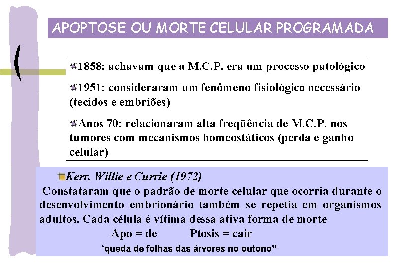 APOPTOSE OU MORTE CELULAR PROGRAMADA 1858: achavam que a M. C. P. era um