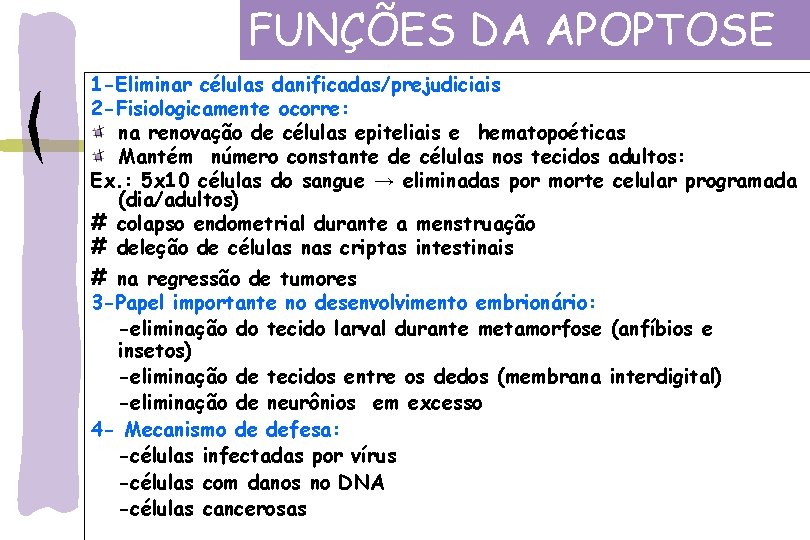 FUNÇÕES DA APOPTOSE 1 -Eliminar células danificadas/prejudiciais 2 -Fisiologicamente ocorre: na renovação de células