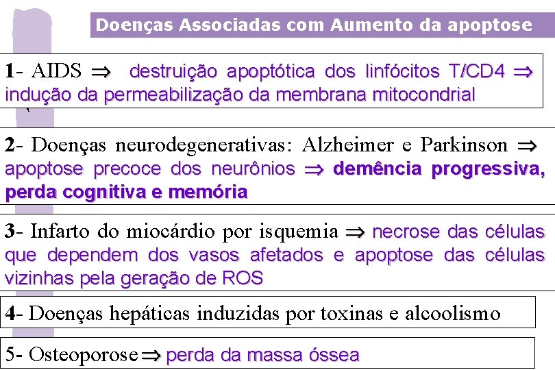 Doenças Associadas com Aumento da apoptose 1 - AIDS destruição apoptótica dos linfócitos T/CD