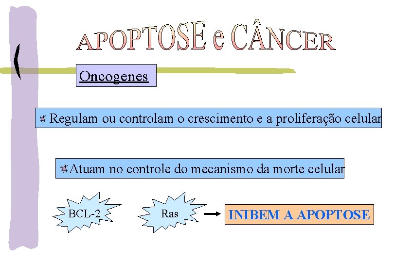 Oncogenes Regulam ou controlam o crescimento e a proliferação celular Atuam no controle do