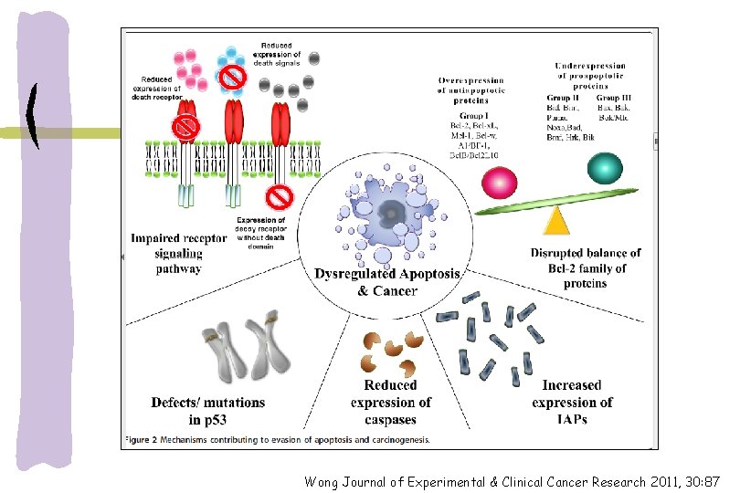 Wong Journal of Experimental & Clinical Cancer Research 2011, 30: 87 