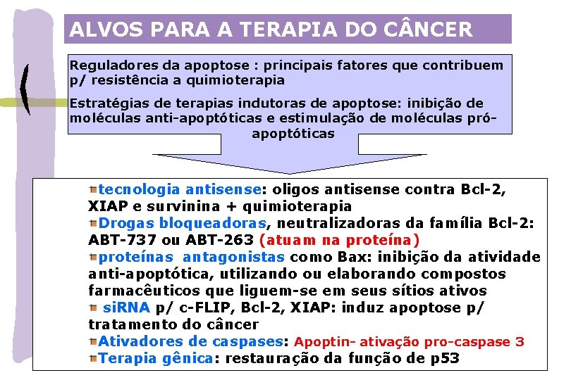 ALVOS PARA A TERAPIA DO C NCER Reguladores da apoptose : principais fatores que