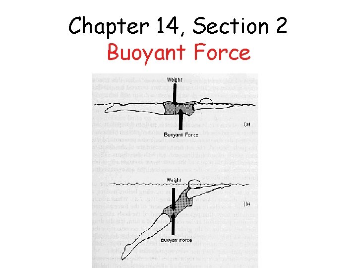 Chapter 14, Section 2 Buoyant Force 