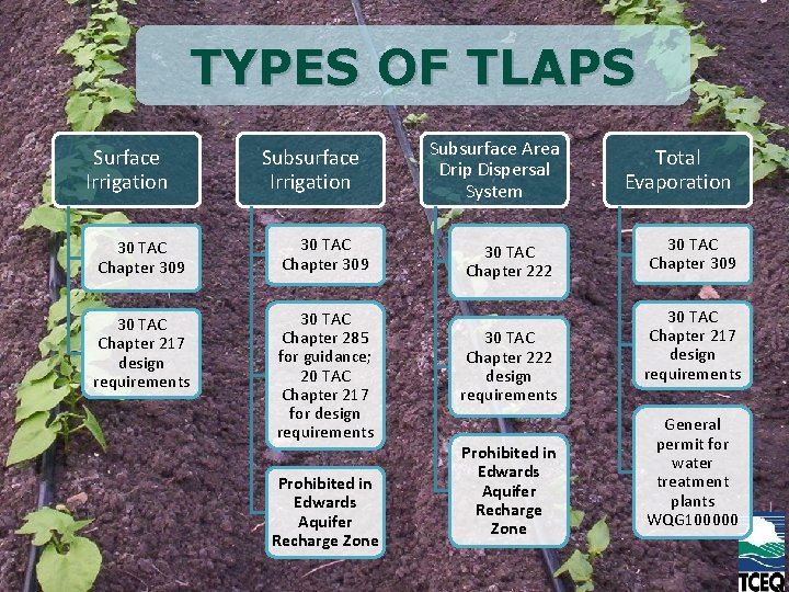 TYPES OF TLAPS Surface Irrigation Subsurface Irrigation 30 TAC Chapter 309 30 TAC Chapter