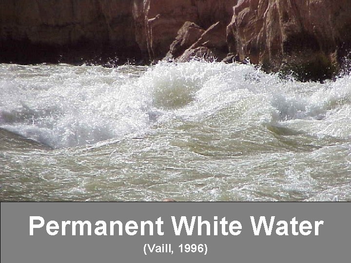 Permanent White Water (Vaill, 1996) 