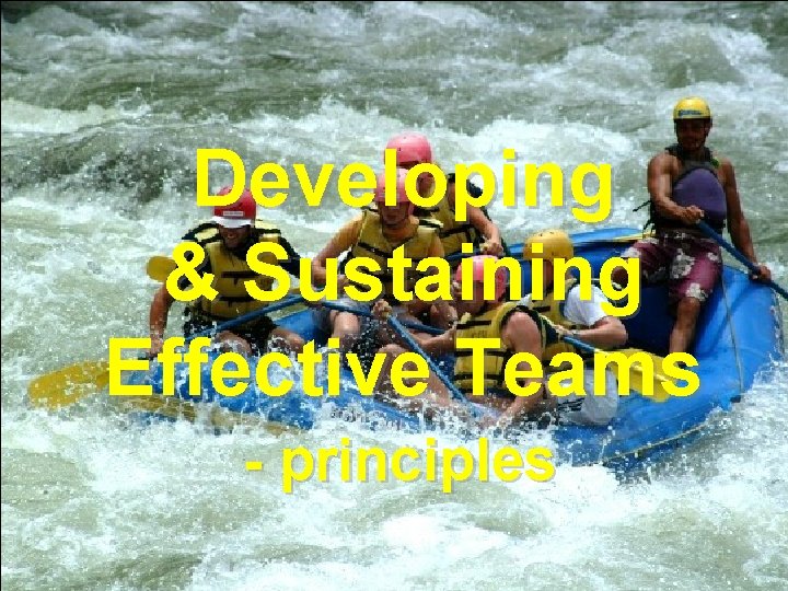 Developing & Sustaining Effective Teams - principles 