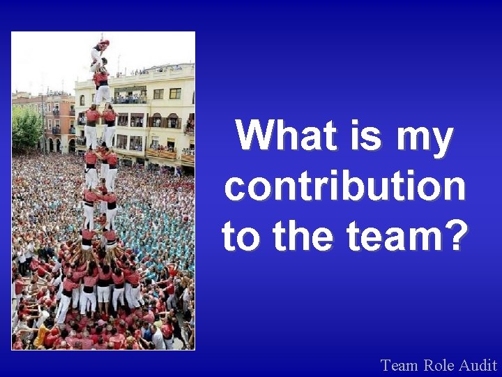 What is my contribution to the team? Team Role Audit 