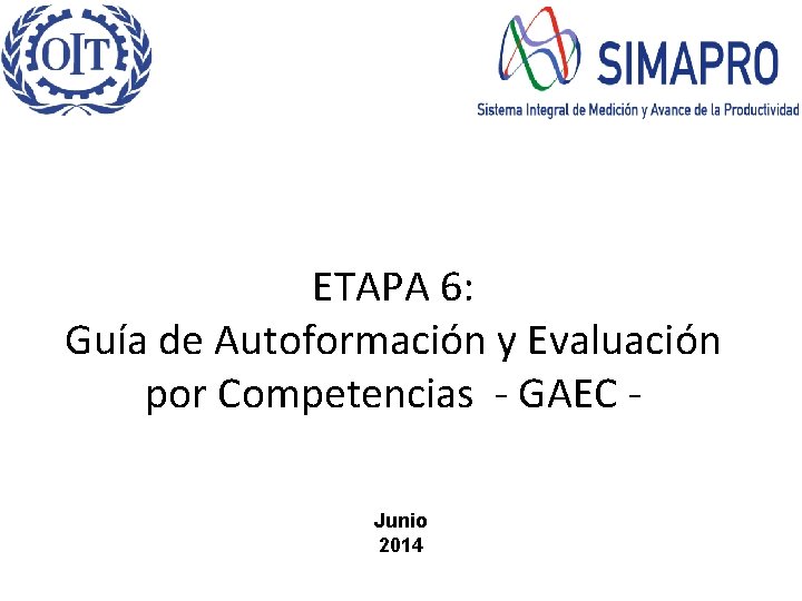ETAPA 6: Guía de Autoformación y Evaluación por Competencias - GAEC Junio 2014 