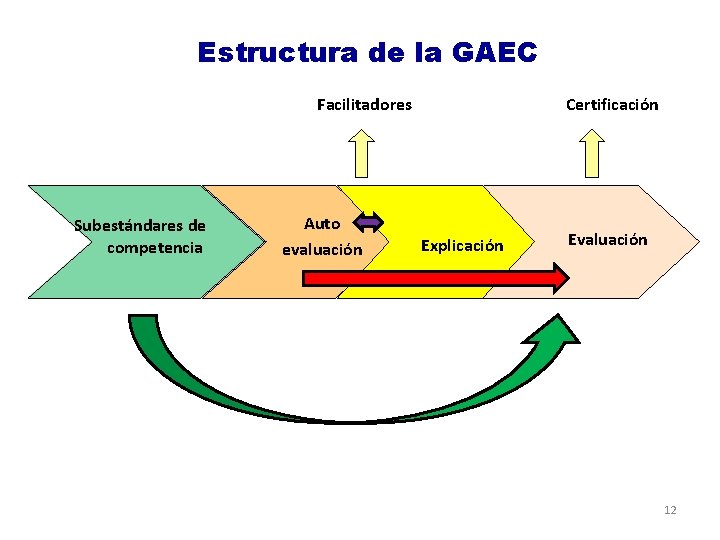 Enfoque de competencias Estructura de la GAEC Facilitadores Subestándares de competencia Auto evaluación Certificación