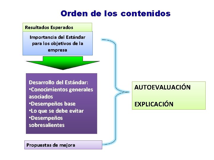 Orden de los contenidos Resultados Esperados Importancia del Estándar para los objetivos de la