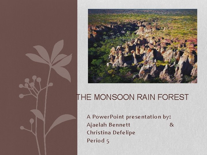 THE MONSOON RAIN FOREST A Power. Point presentation by: Ajaelah Bennett & Christina Defelipe