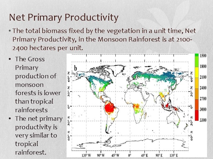 Net Primary Productivity • The total biomass fixed by the vegetation in a unit