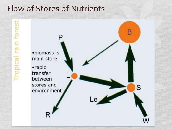 Flow of Stores of Nutrients 