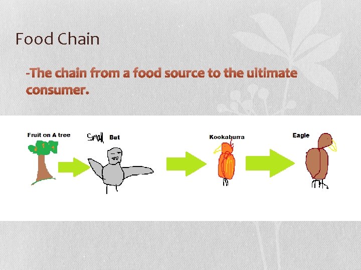 Food Chain -The chain from a food source to the ultimate consumer. 