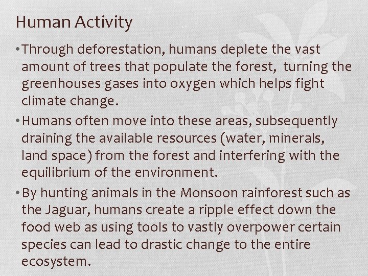 Human Activity • Through deforestation, humans deplete the vast amount of trees that populate