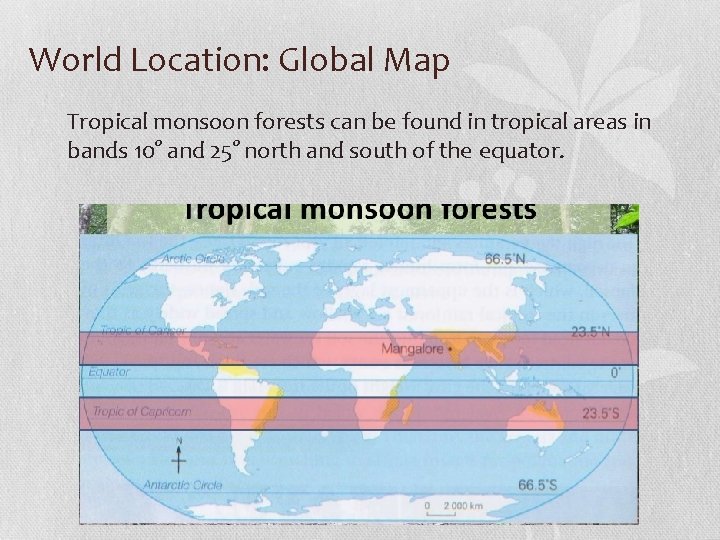 World Location: Global Map Tropical monsoon forests can be found in tropical areas in