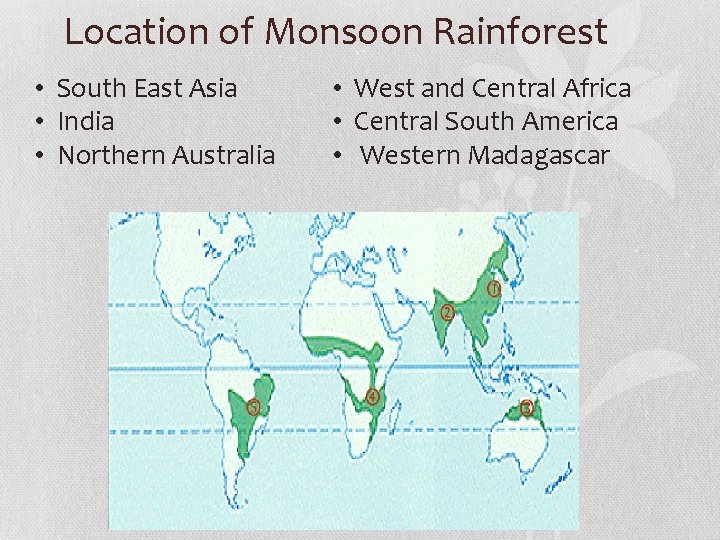 Location of Monsoon Rainforest • South East Asia • India • Northern Australia •